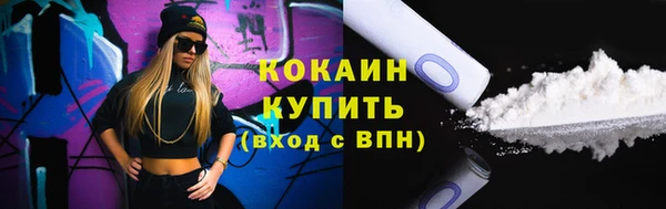 индика Новокубанск