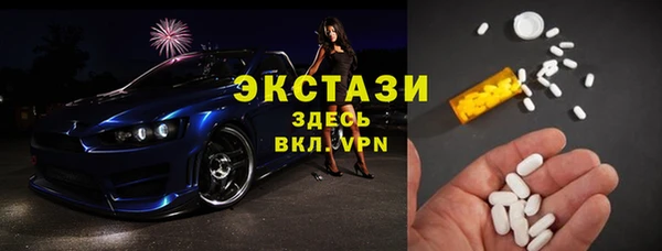 индика Кулебаки