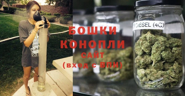 СК Новодвинск