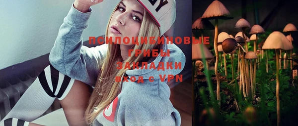 СК Новодвинск
