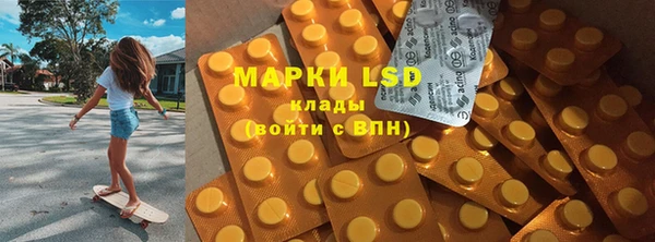 индика Новокубанск