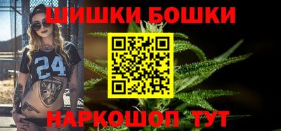 стафф Гатчина