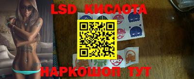 стафф Гатчина