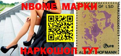 стафф Гатчина