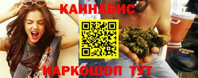 стафф Гатчина