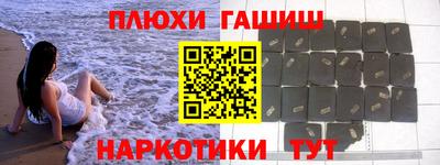 ешки Гай