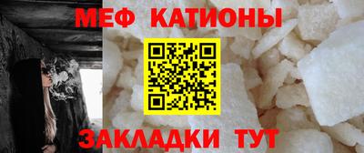 стафф Гатчина
