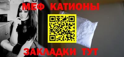 стафф Гатчина