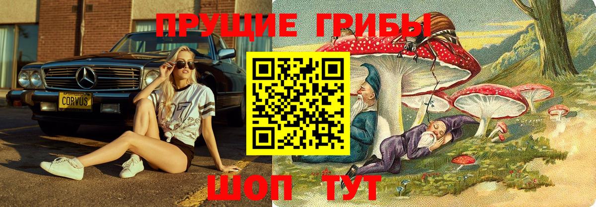 Галлюциногенные грибы GOLDEN TEACHER  Вход с VPN  Лобня  Галлюциногенные грибы GOLDEN TEACHER 